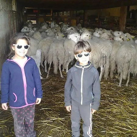 Agriturismo Case Varisco Alloggio per agriturismo *